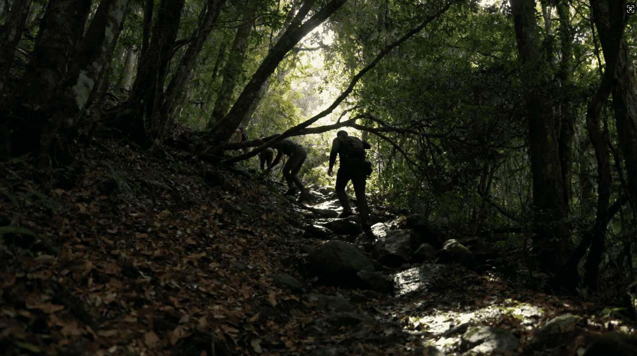 一元机场按流量购买的最新操作指南与实用技巧详解